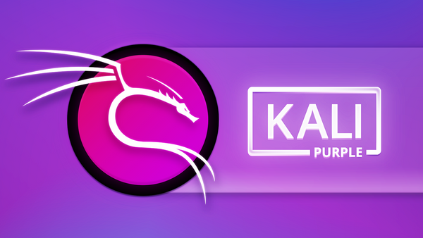 Kali Purple SOC: Part 8 – Installing Kali Violet VM and Elastic Agent
